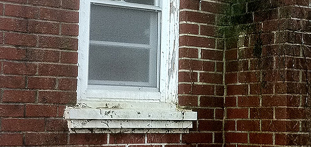 Cleaning of Brick Work - Before